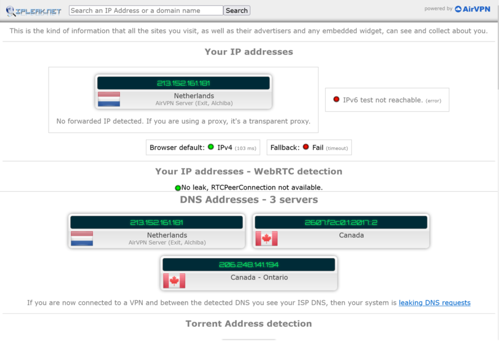 Screenshot 2021-12-29 at 14-26-33 IP DNS Detect.png