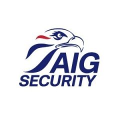 AIG Security