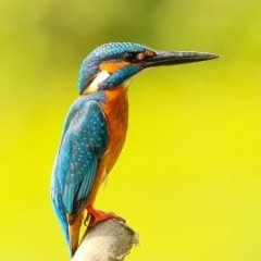 xEE2uyP4pgU8qYH2ivGV9