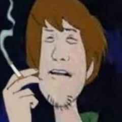 shaggybro