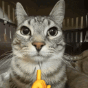 doireallyneedadisplayname