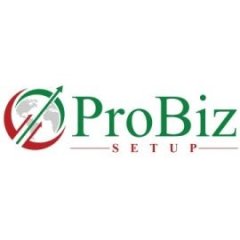ProBiz Setup