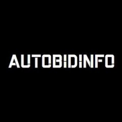 Autobidinfo