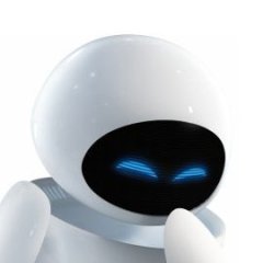 EVEtheRobot