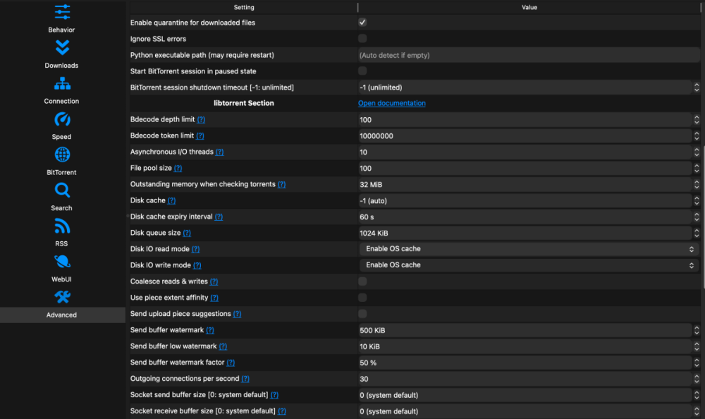 QBTorrent settings - Advanced 2.png